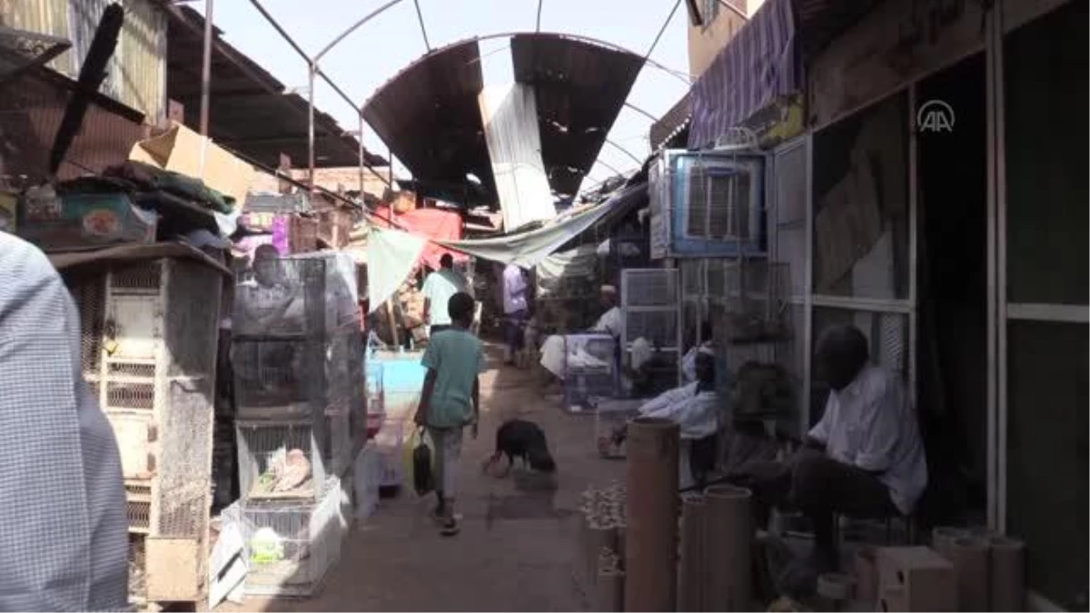 Sudan\'da kuş pazarı