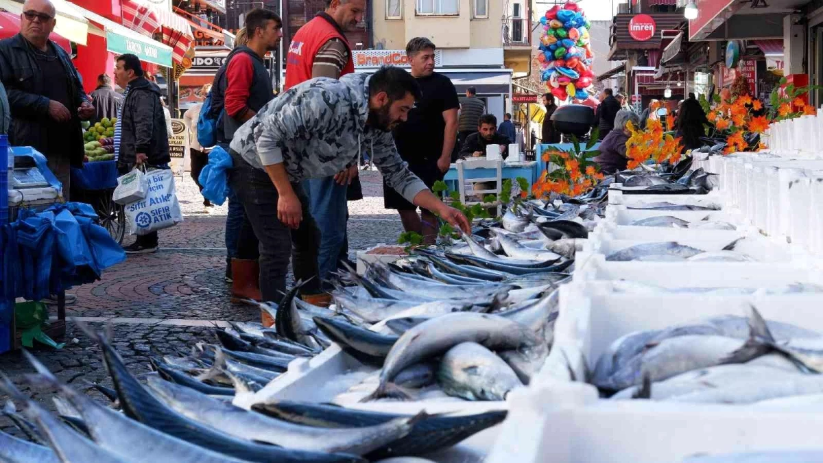 Yer gök palamut: Tanesi 100 TL\'den satılıyordu bugün 3 tanesi 100 TL