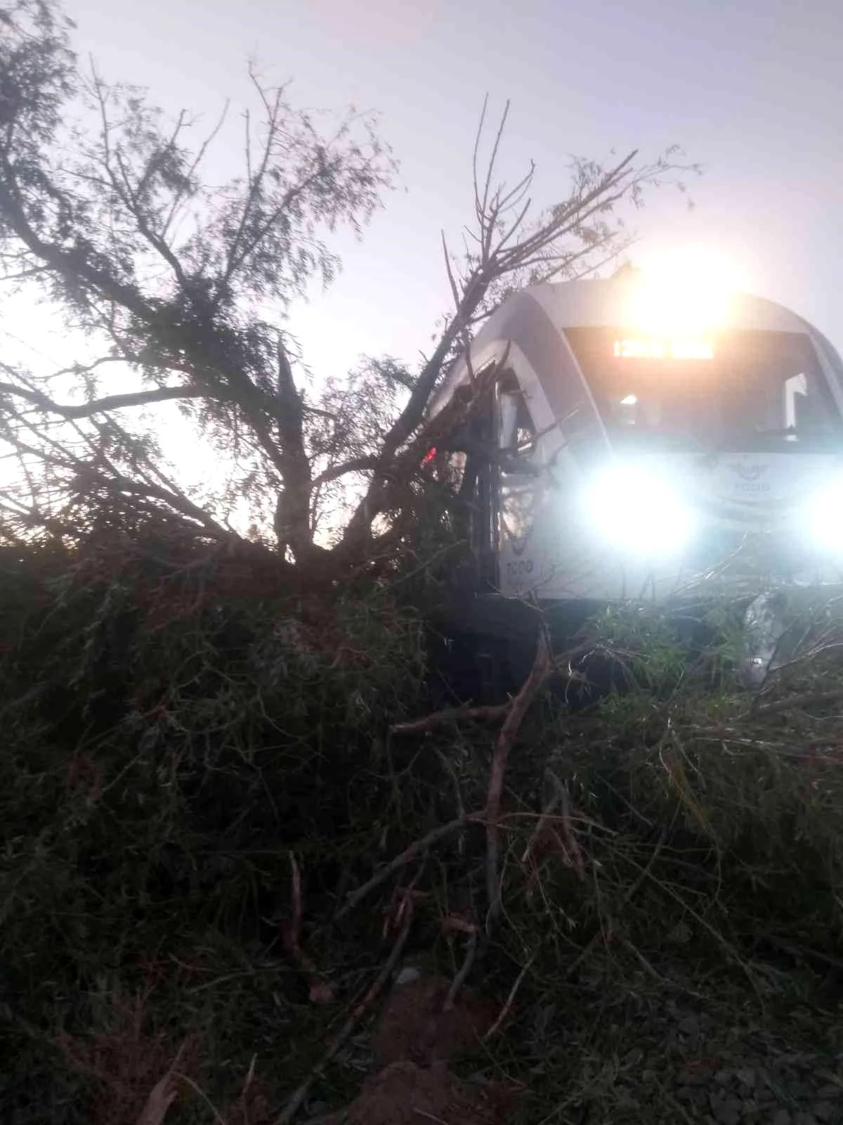 Manisa haberleri! Alaşehir\'de tren raylarına ağaç devrildi