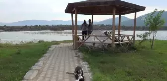 Almanya'dan yola çıkan iki çevrebilimci, doğanın önemine vurgu için pedal basıyor