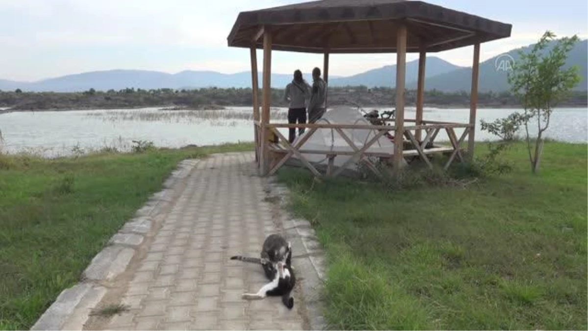 Almanya\'dan yola çıkan iki çevrebilimci, doğanın önemine vurgu için pedal basıyor