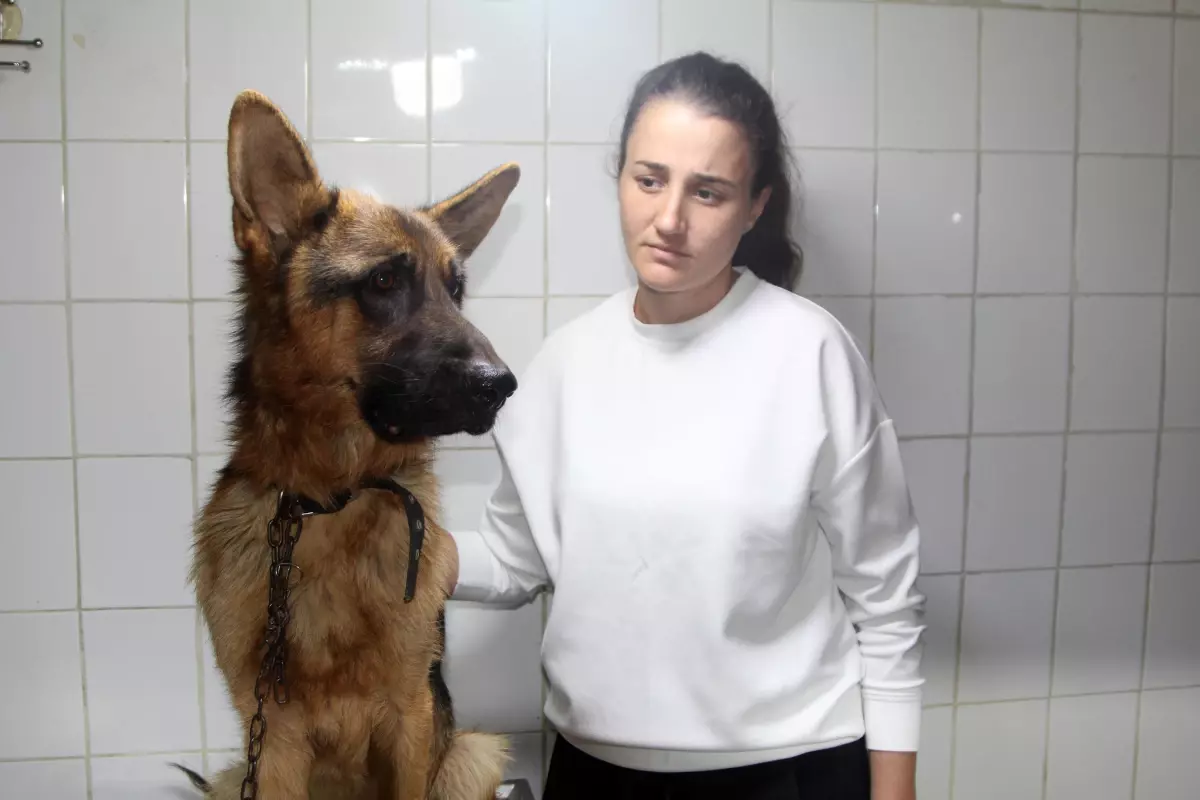 Antalya haber | Antalya\'da çalınan köpek, çipi sayesinde sahibine teslim edildi