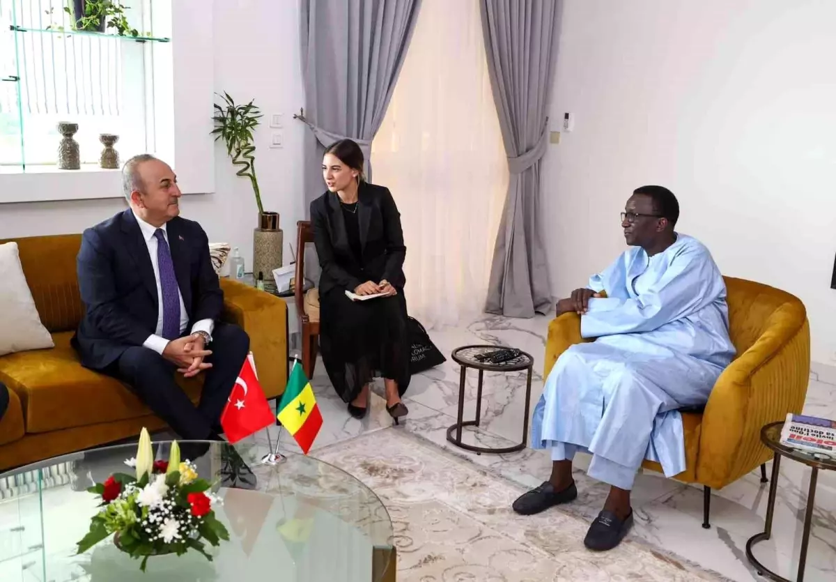 Dışişleri Bakanı Çavuşoğlu, Senegal Başbakanı Ba ile görüştü