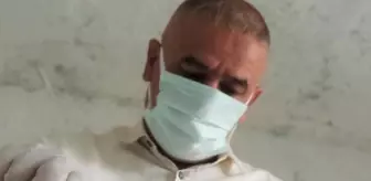 Evinin altına akrep çiftliği kurdu