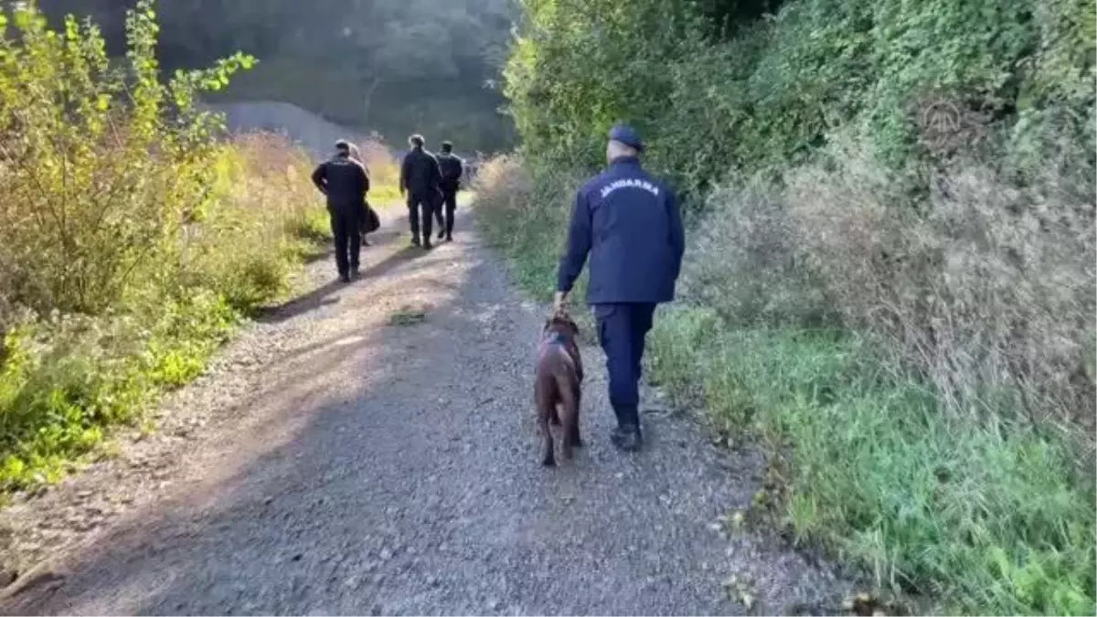 Kestane toplarken ormanda kaybolan kişi, 5 kilometre uzaklıkta yaralı bulundu