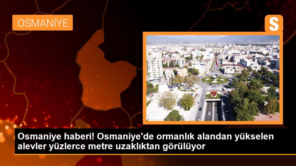 Osmaniye haberi! Osmaniye\'de ormanlık alandan yükselen alevler yüzlerce metre uzaklıktan görülüyor