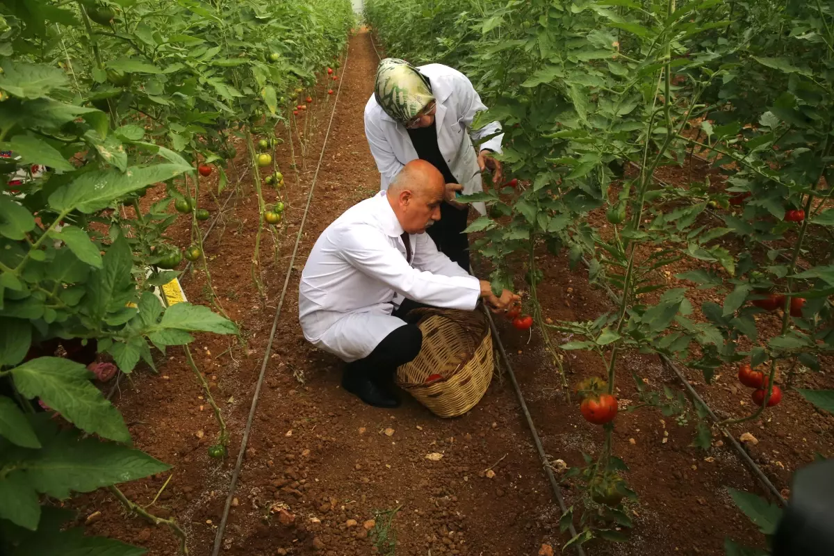 Gaziantep haber: Tarım ve Orman Bakanı Kirişci, Gaziantep\'te Tarım Okulu\'nu ziyaret etti Açıklaması