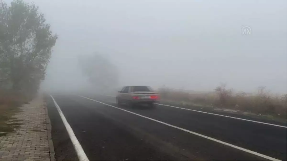 Tekirdağ haberleri! Tekirdağ\'da yoğun sis etkili oldu