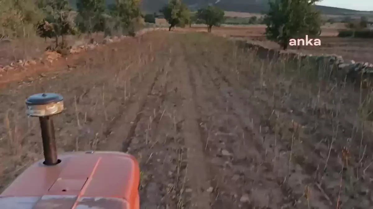 Aydınlı Vatandaşların Yol Tepkisi: "Uçarak mı Geleceğiz Arazilerimize"