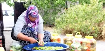 Erzincan yerel haberleri: Erzincan'da kadınların turşu mesaisi