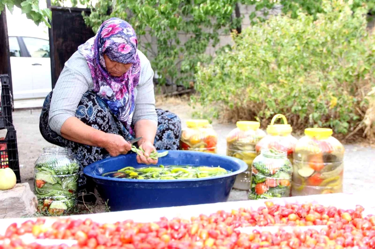 Erzincan yerel haberleri: Erzincan\'da kadınların turşu mesaisi
