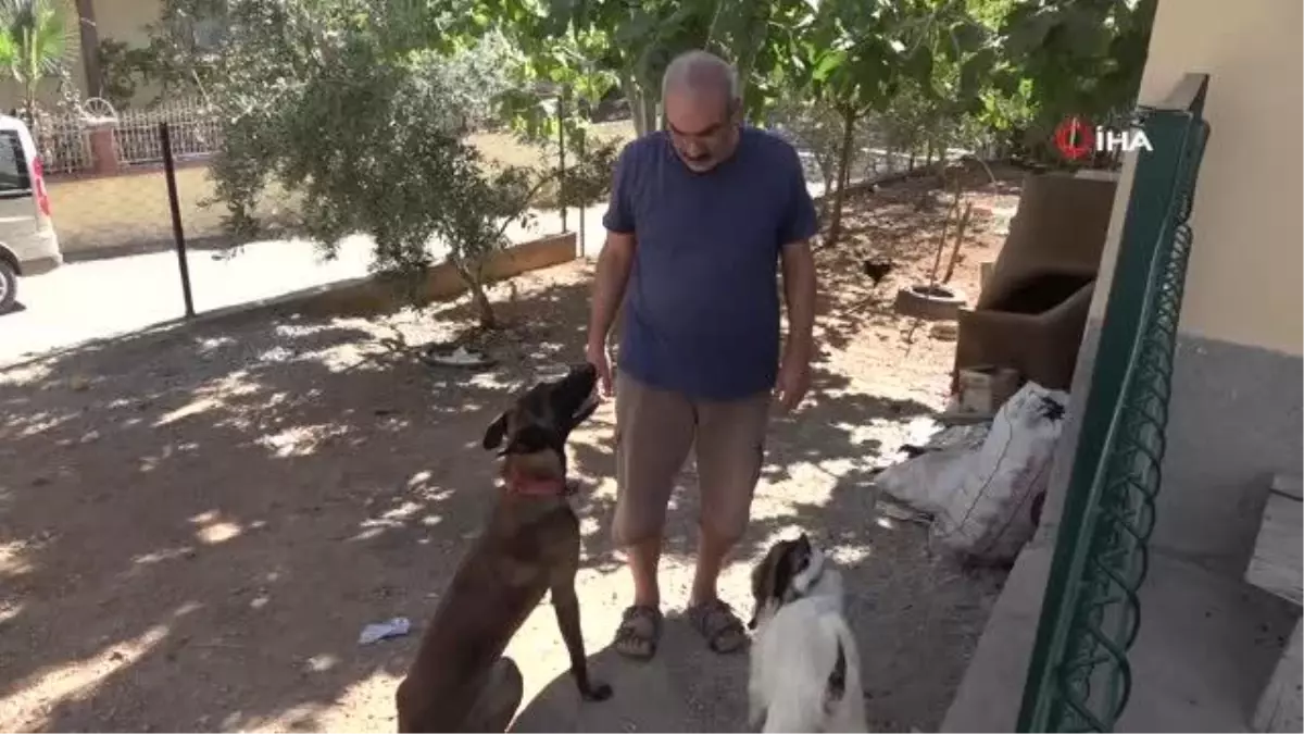 Köpek ile keçinin dostluğu