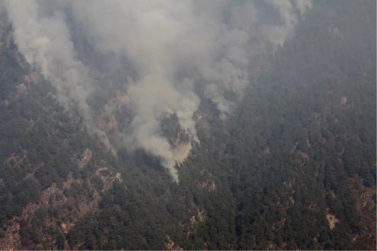 Osmaniye gündem haberi: Osmaniye\'deki orman yangını, 4\'üncü günde kontrol altında