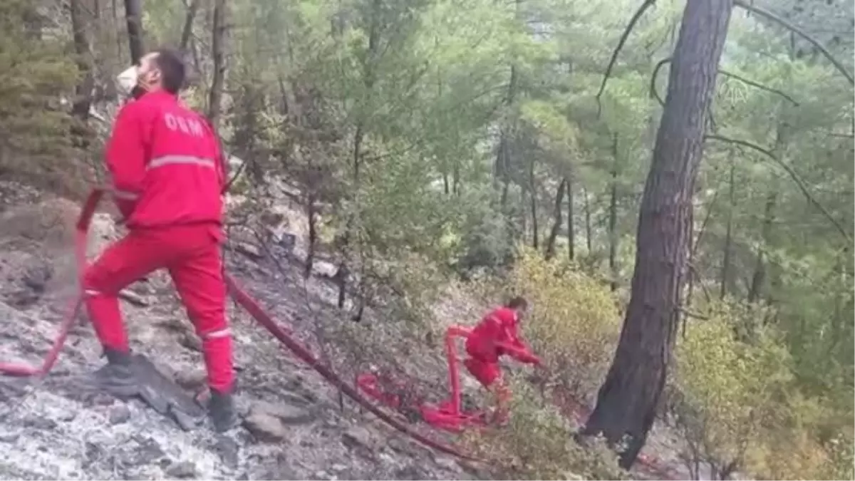 Son dakika haberi! Osmaniye\'deki orman yangını kontrol altına alındı (2)