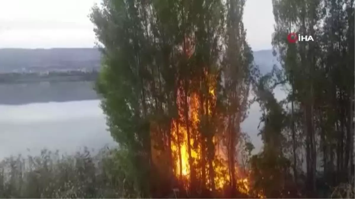 Sazlık alanda çıkan yangın korkuttu