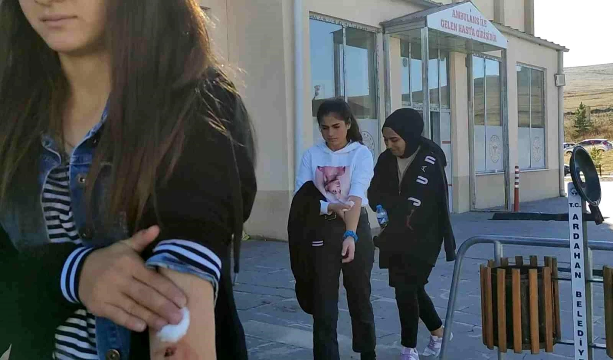 Son dakika haberleri | Ardahan\'da gıda zehirlenmesi: 25 öğrenci hastaneye kaldırıldı