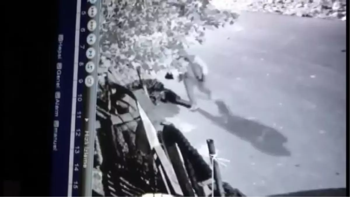 İSTANBUL-ARNAVUTKÖY\'DE 4 KİŞİ 12 TAVUĞU ÇALDI