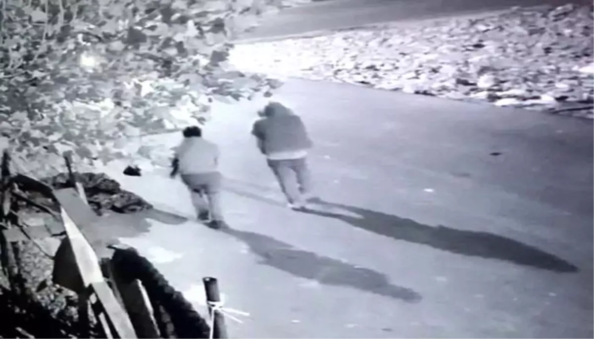 Arnavutköy\'de lüks araçlı tavuk hırsızları kamerada