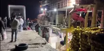 Çanakkale'de denizden 4 bin palamutla dönen balıkçıların yüzü güldü