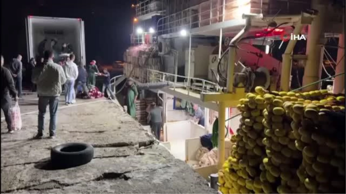 Çanakkale\'de denizden 4 bin palamutla dönen balıkçıların yüzü güldü