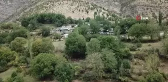 Kartpostallık sonbahar manzaraları böyle görüntülendi