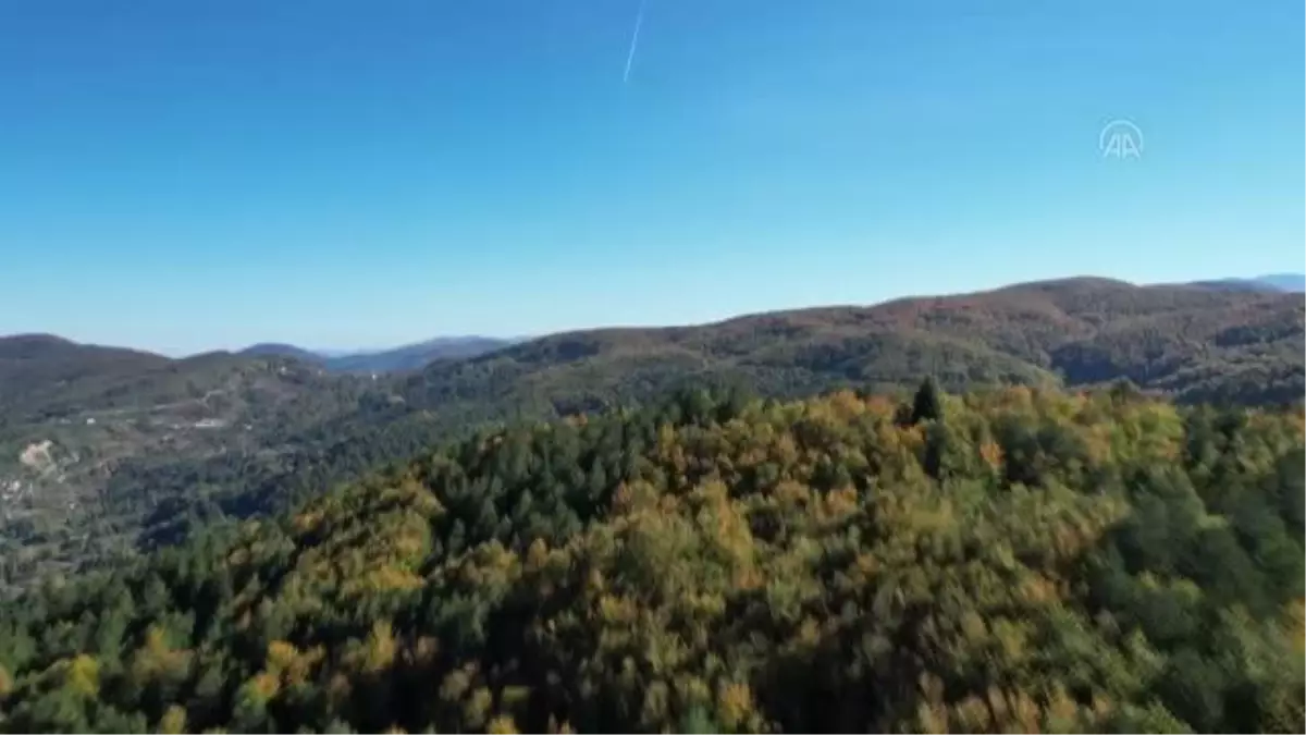 Kastamonu\'nun Karadeniz\'in mavisiyle bütünleşen ormanlarında sonbahar manzaraları hüküm sürüyor