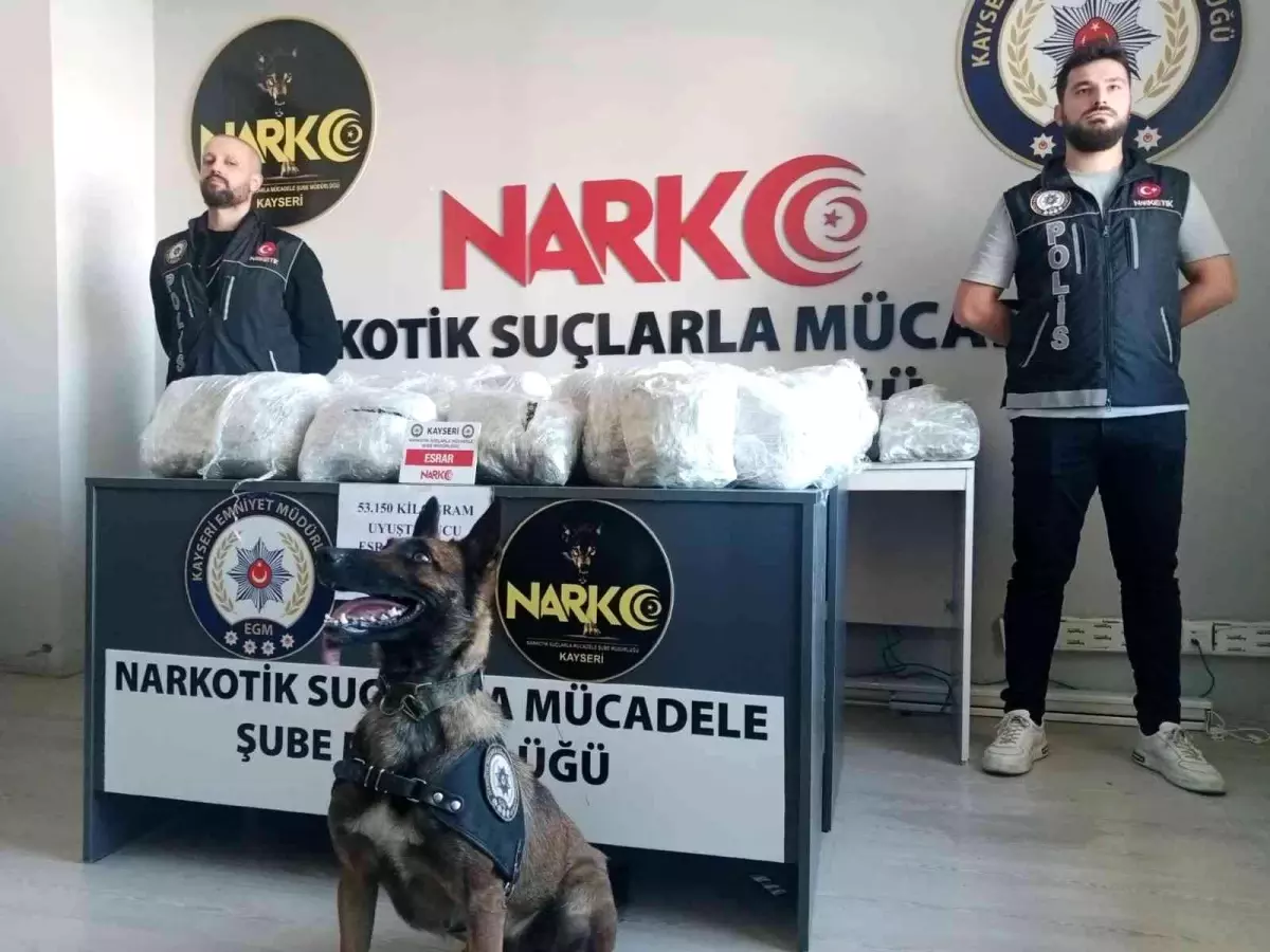 Kiralık araçtan 53 kilo uyuşturucu madde ele geçirildi