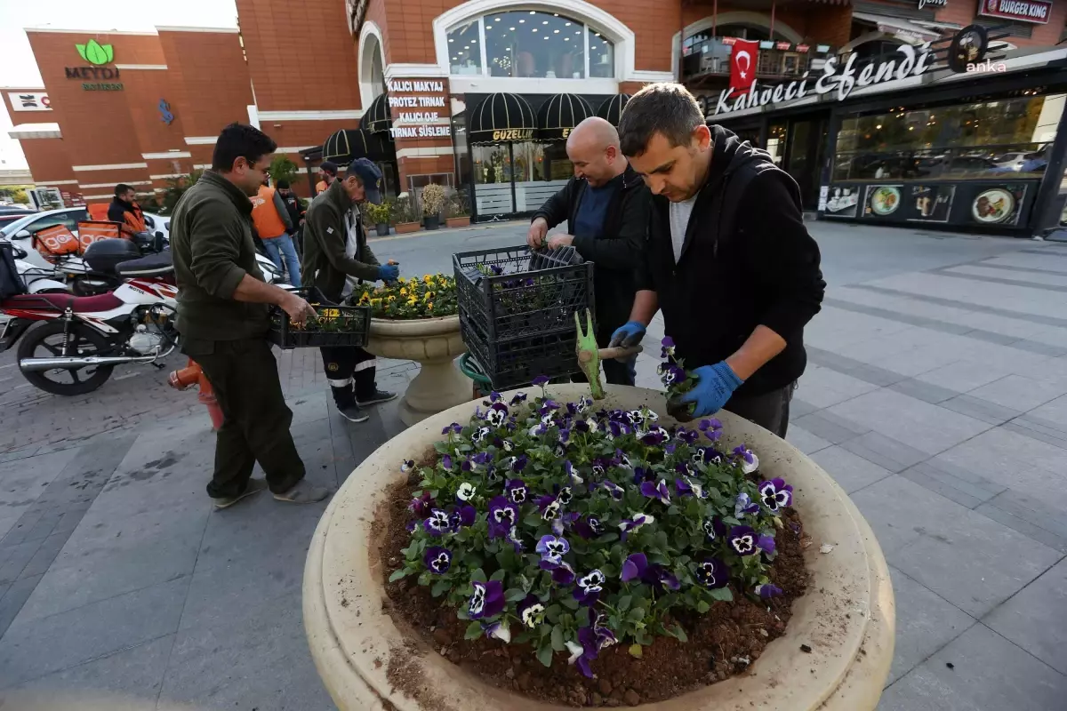 Yenimahalle Seralarında Çiçek Üretimi Devam Ediyor