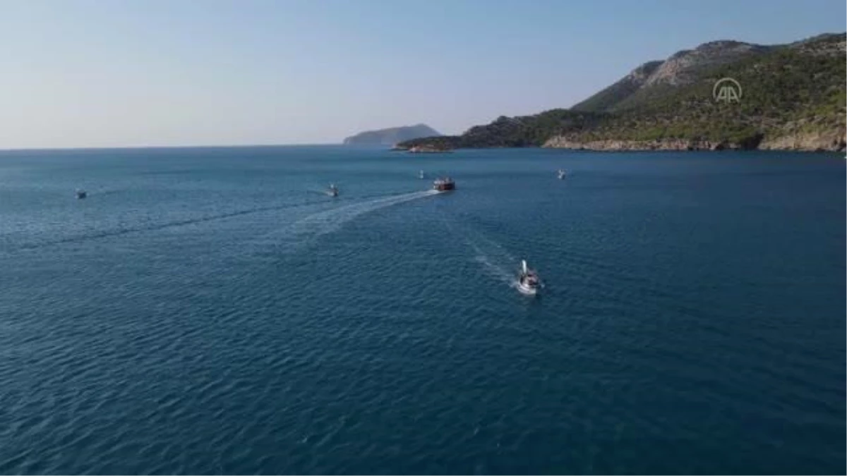 Akkuyu Nükleer AŞ, balıkçılık turnuvası düzenledi