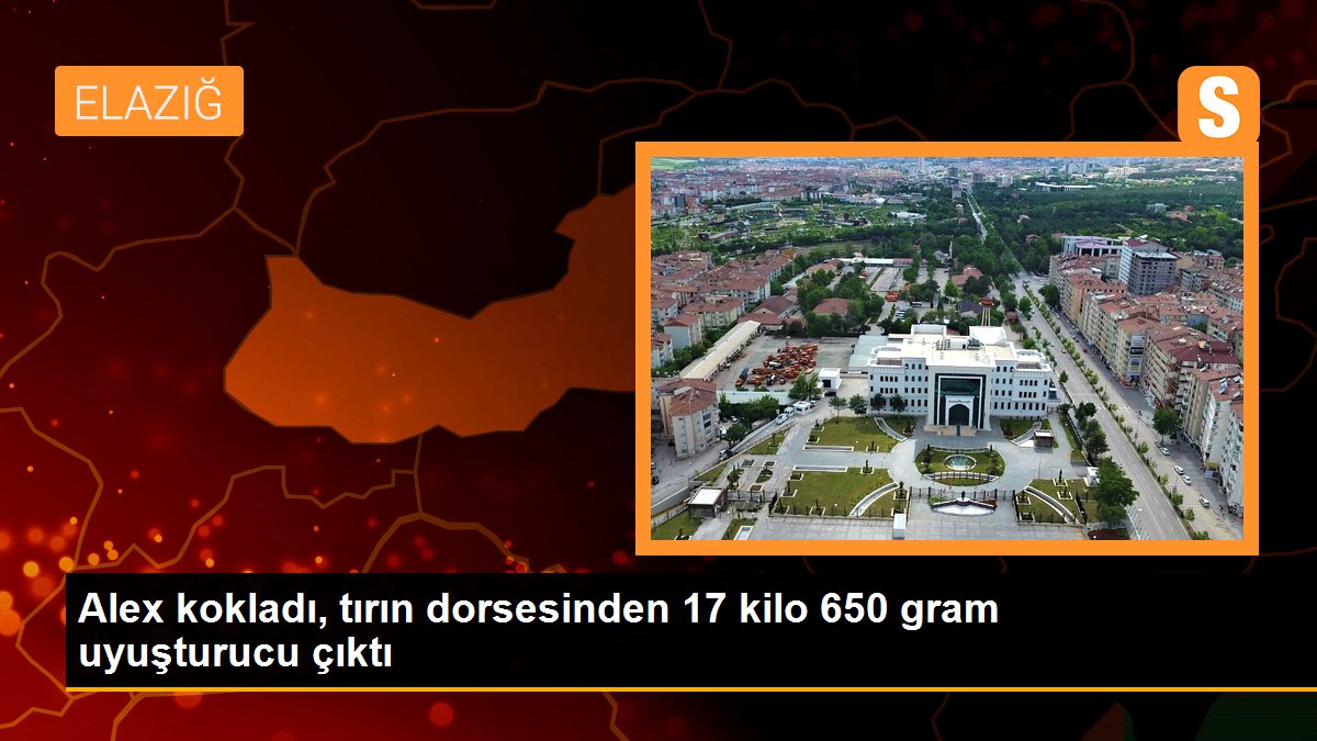 Alex kokladı, tırın dorsesinden 17 kilo 650 gram uyuşturucu çıktı