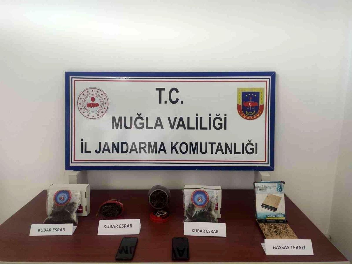 Arı kovanında uyuşturucu ele geçirildi