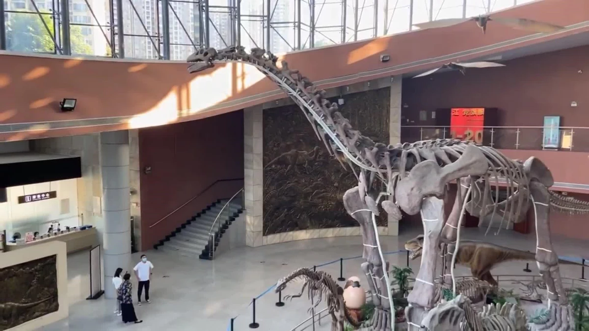 Çin\'in Güneyindeki Müzede Sergilenen Dinozor Yumurtası Fosil Koleksiyonuna Kısa Bir Bakış