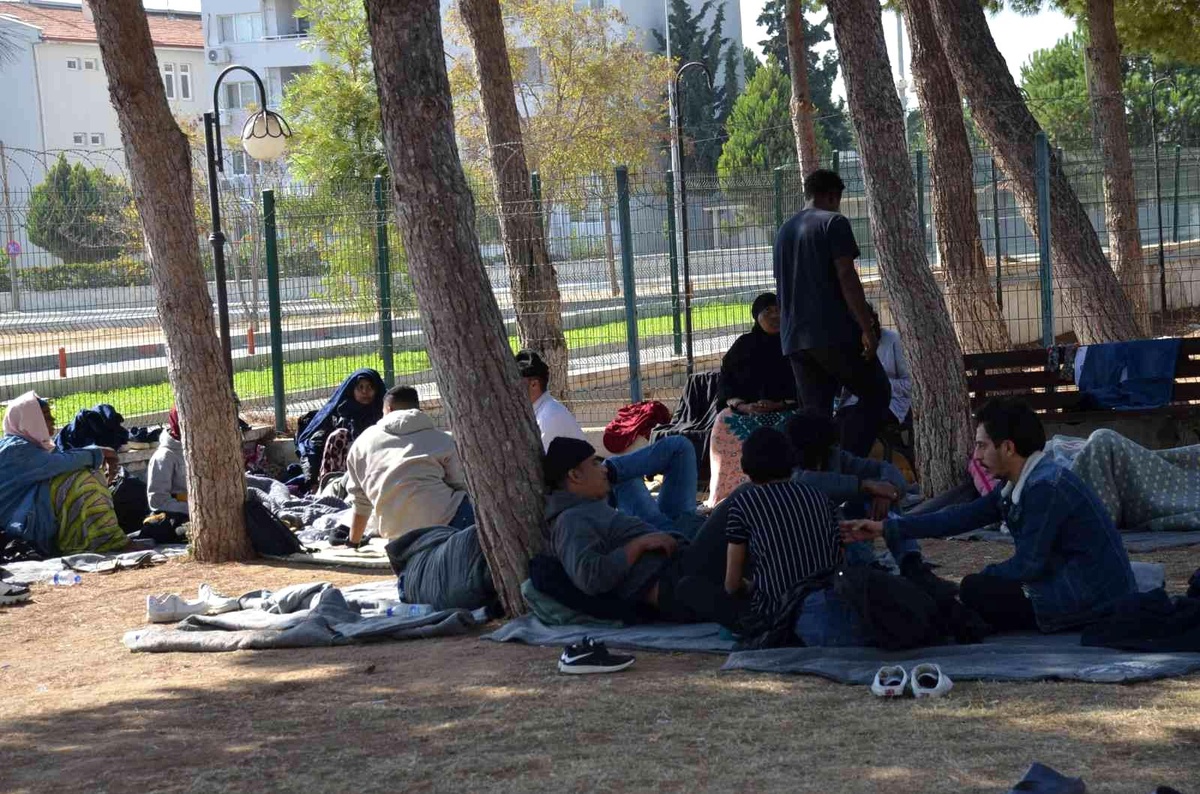 Didim\'de 53 düzensiz göçmen yakalandı
