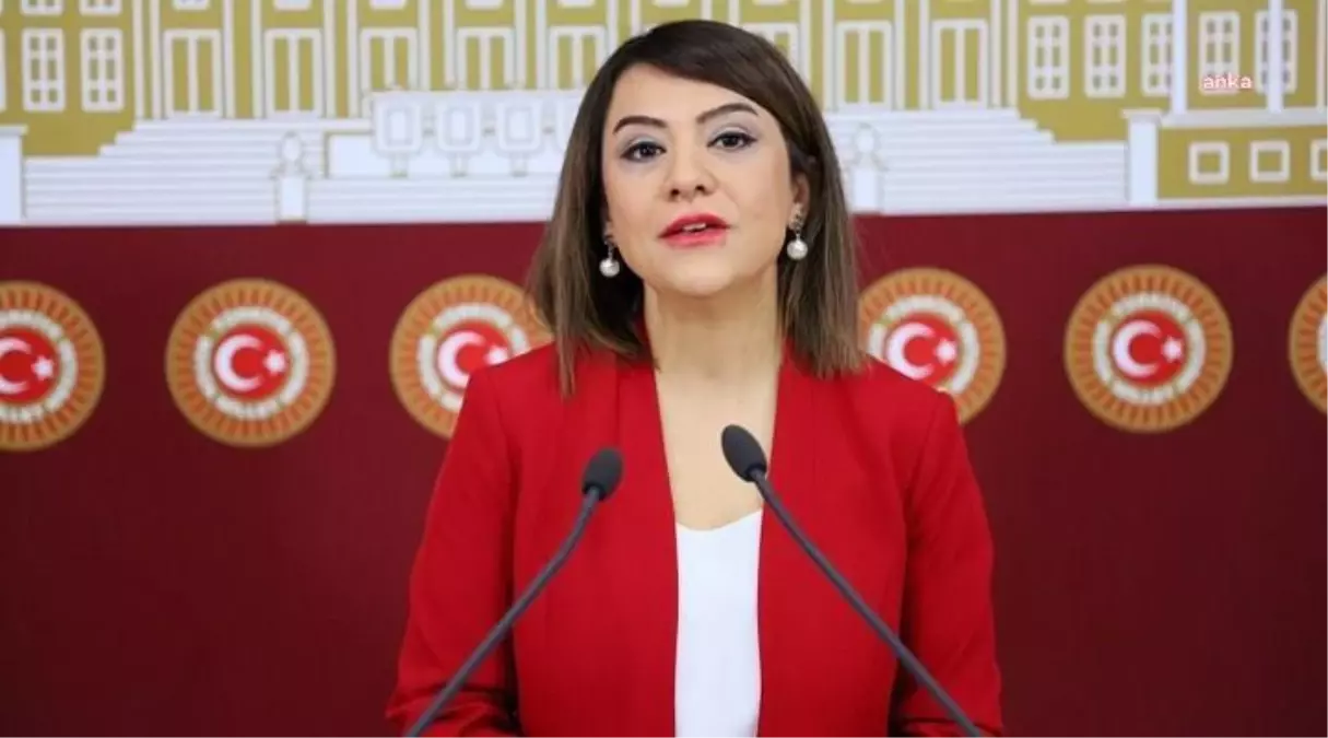 Gamze Taşcıer: "Kadınların Yalnızca Öldürüldüğünde Şiddete Uğradığını Düşünen Bir Anlayışın Bu Ülkede Yaşayan Kadınlara Şiddetsiz Bir Yaşam Sağlaması...