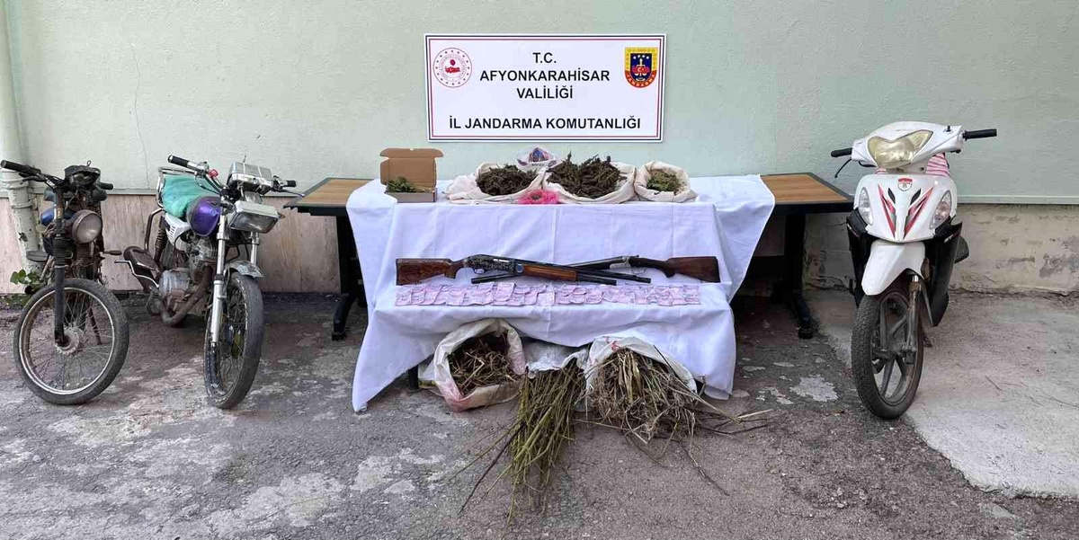 Ormanı uyuşturucu tarlasına çevirmişler