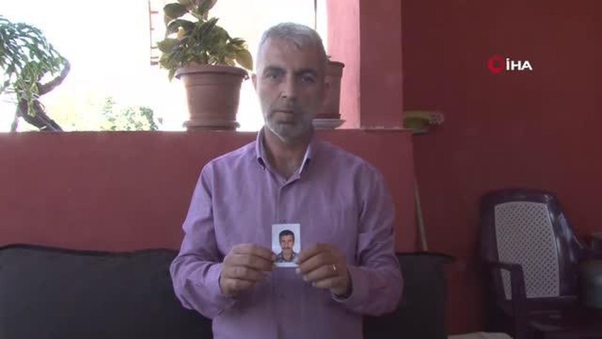 Uykusundan uyanıp balkona kadar uzanan zeytin ağacından aşağı inen Alzheimer hastası kayıplara karıştı