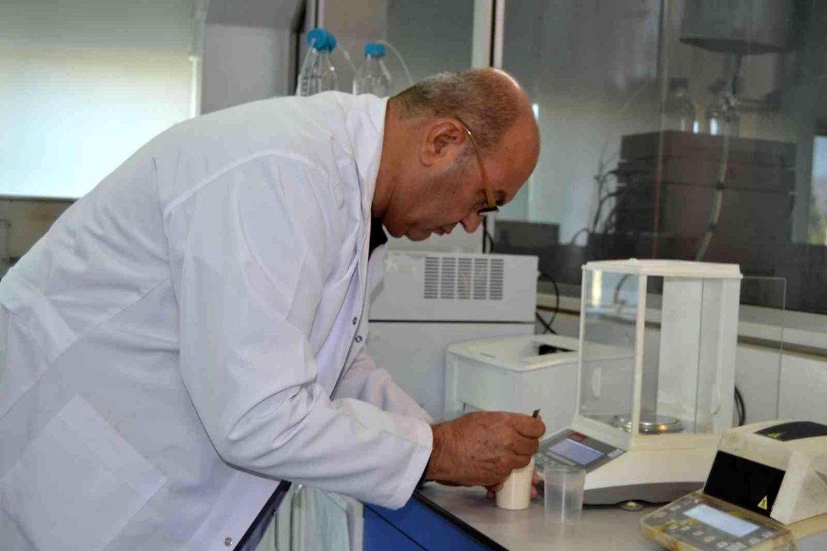 Balık ve karides ölümlerini önledi, Çin'e ihracat yapacak