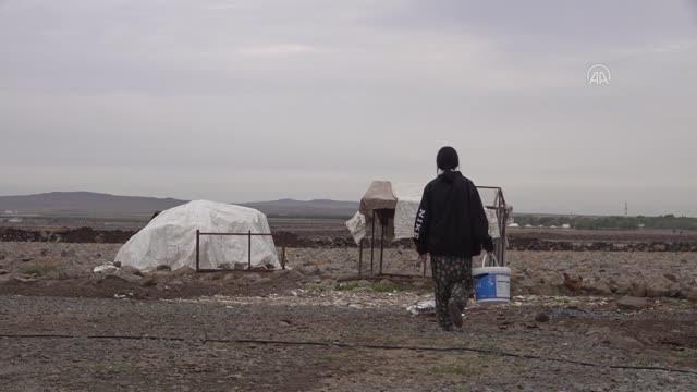 Keşfedilme hikayesi film olur! Diyarbakırlı Beritan, bilek güreşinde dünya şampiyonu