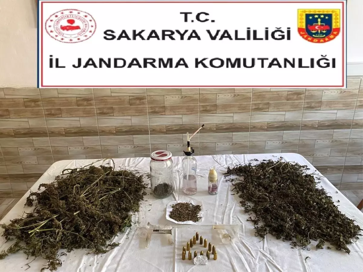 Sakarya\'da uyuşturucu operasyonu: 1 gözaltı