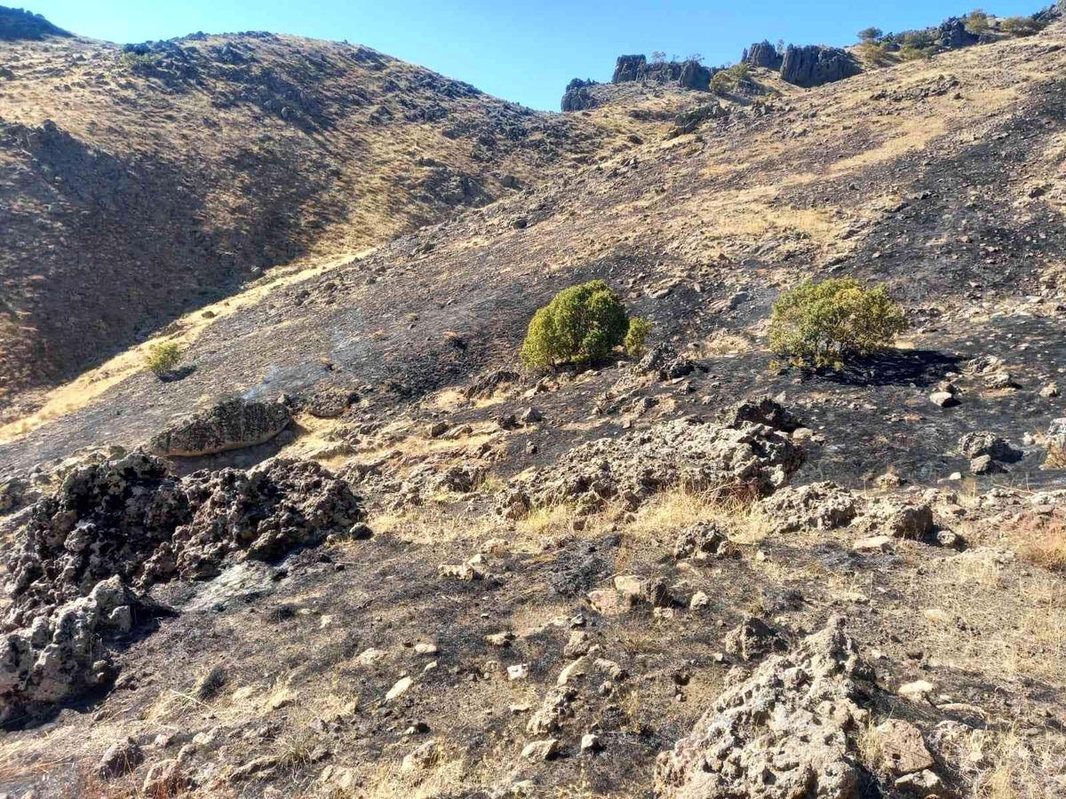 Tunceli\'de otluk alandaki yangın kısa sürede söndürüldü
