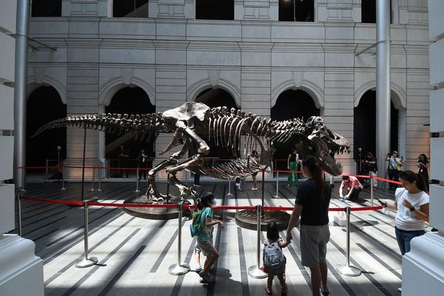 Tyrannosaurus Rex İskeleti Singapur'da Sergileniyor Tyrannosaurus Rex İskeleti Singapur'da Sergileniyor