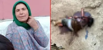 Mardin'de öldürülen kadının katili, akrabası çıktı! Bıçaklayıp altınlarını çalmış