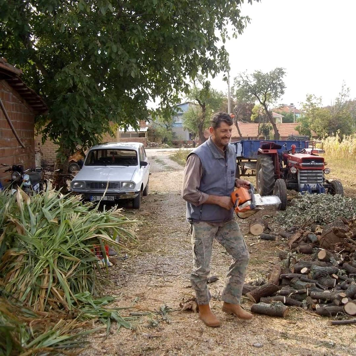 Başına çarpan ağaç sonu oldu
