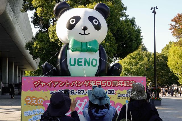 Çinli Dev Pandaların Japonya'ya Gelişinin 50. Yıldönümü Kutlanıyor Çinli Dev Pandaların Japonya'ya Gelişinin 50. Yıldönümü Kutlanıyor