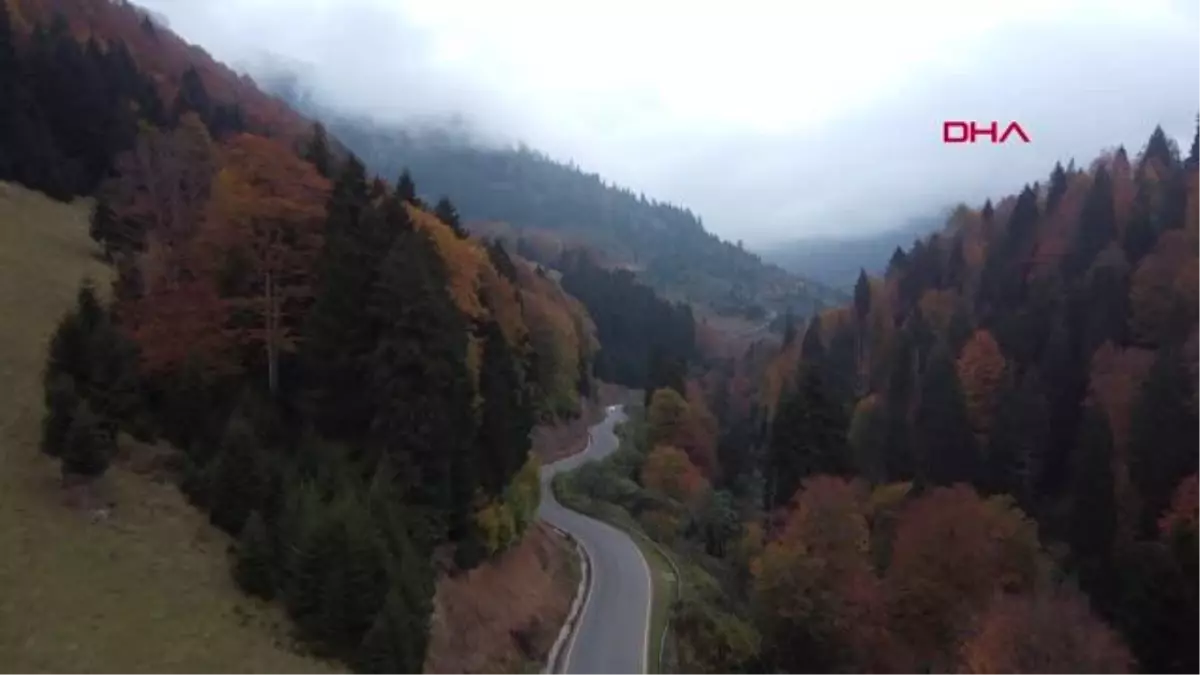 KARADENİZ YAYLALARINDA SONBAHAR RENKLERİ