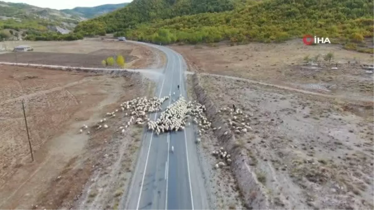 Yaylacıların günler süren zorlu yolcuğu