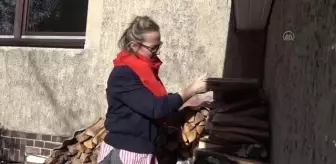 Almanlar evlerini ısıtmak için oduna yöneliyor