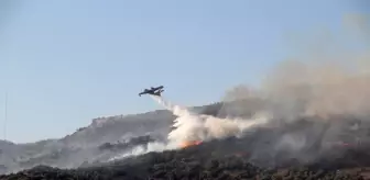 Aydın'da makilik ve zirai alandaki yangın kontrol altına alındı