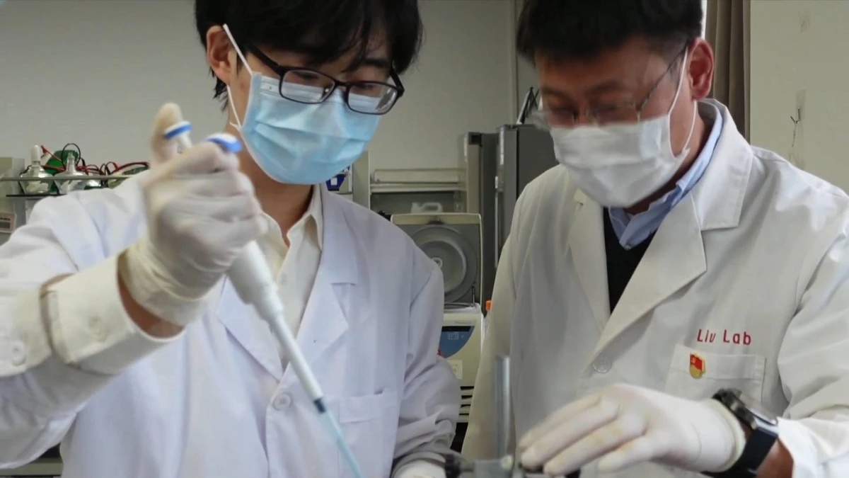 "Bilim Adacığı"Ndaki Çinli Bilim İnsanlarının Kanserle Mücadelesi