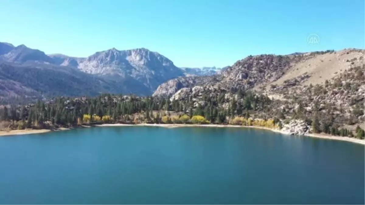 KALİFORNİYA - Lundy Kanyonu kışa hazırlanıyor